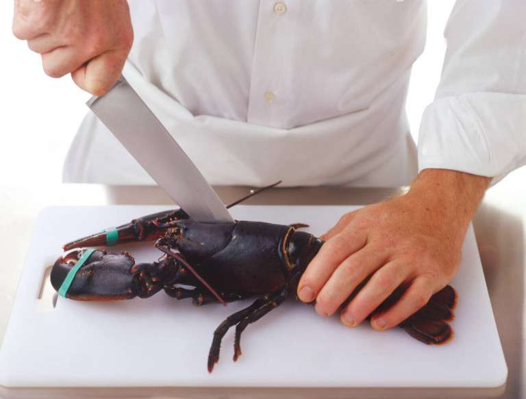 How to Kill a Lobster Humanely