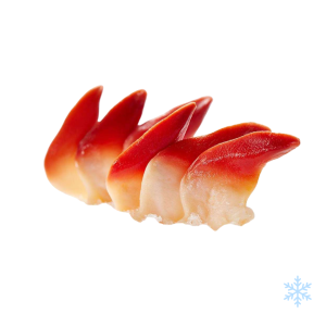 Arctic Surf Clams