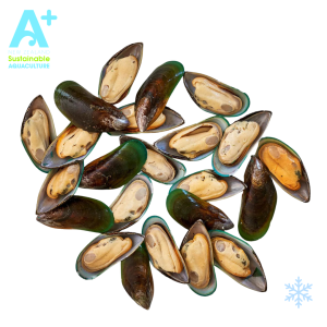 NZ Green Half Shelf Mussels