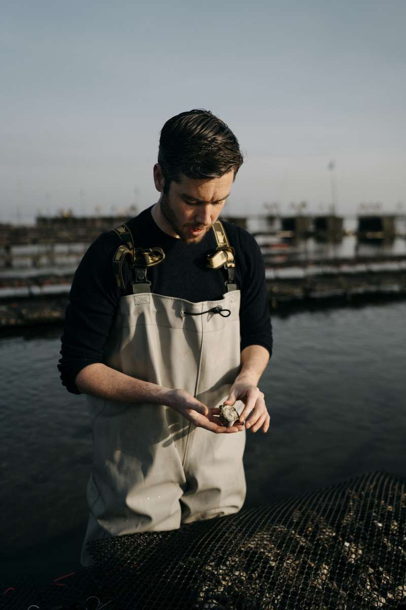 Oyster Farm
