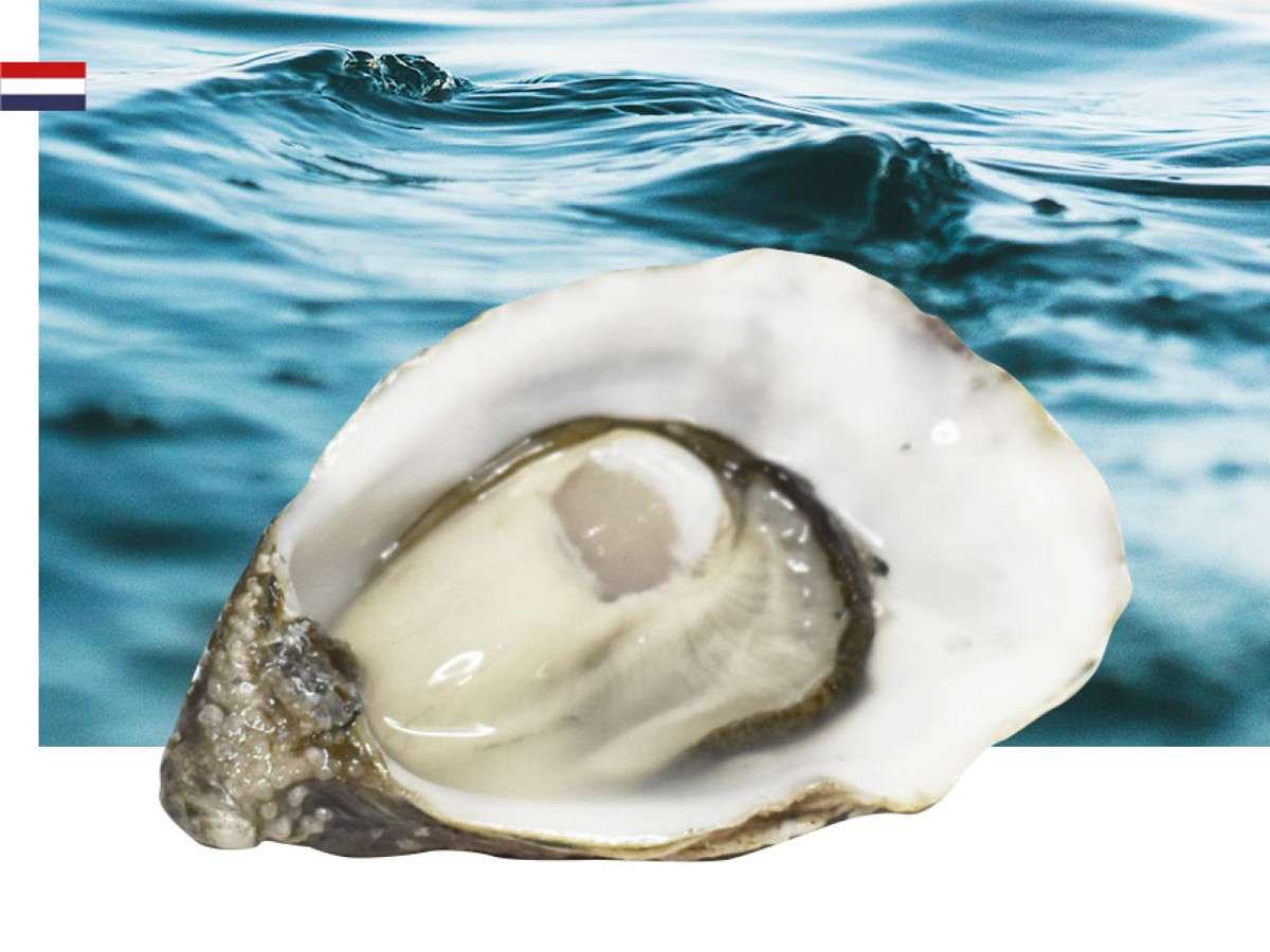 Oesterij Special