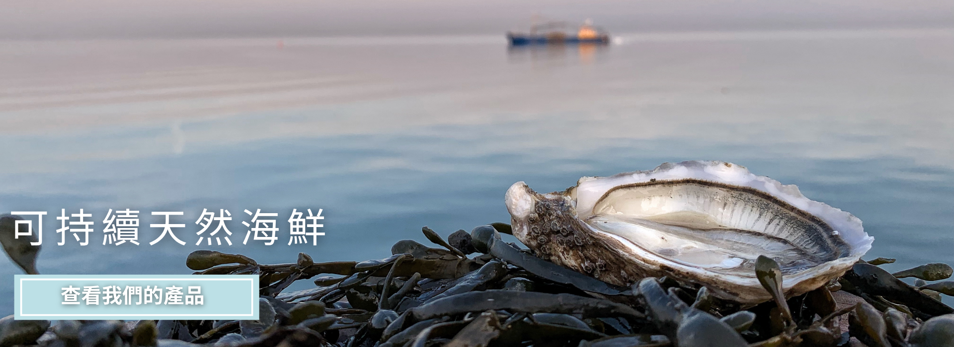 Sustainbale Natural Seafood banner-chines