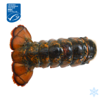 Canadian Raw Lobster Tail