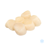 Canadian Raw Scallop meat
