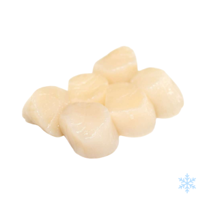 Canadian Raw Scallop meat
