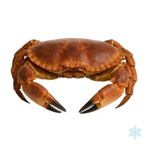 Cooked Brown Brown Crab