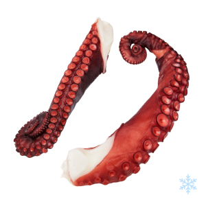 Cooked octopus tentacles Cooked Octopus Tentacles