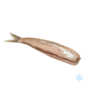 Dutch Herring Fillets