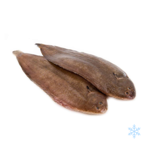 Frozen Doversole