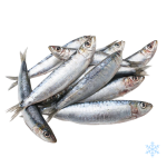 Frozen Portuguese Sardines