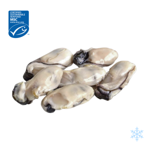 Japanese Oyster Meat
