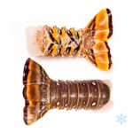 Lobster Tail XL