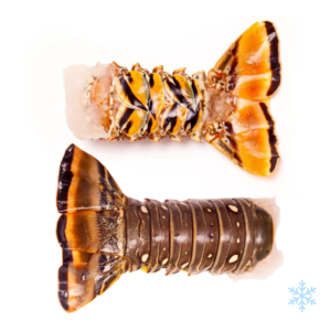 Lobster Tail XL