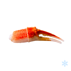 Snow Cooked Xrab Claw
