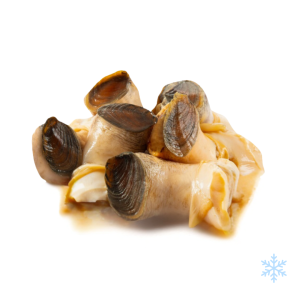 US Frozen Conch Meat