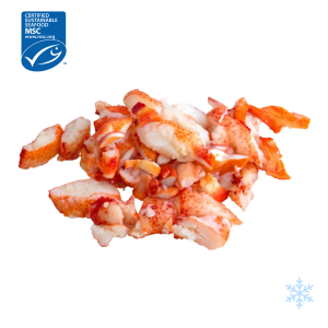 US cooked lobster meat