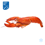 US whole cooked lobster