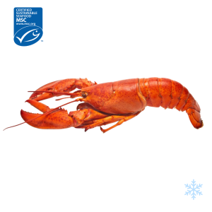 US whole cooked lobster