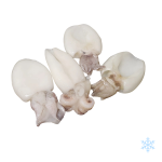 Whole Cleaned baby Cuttlefish