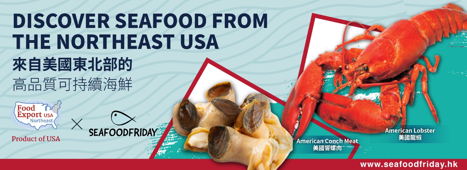 NE USA Promo