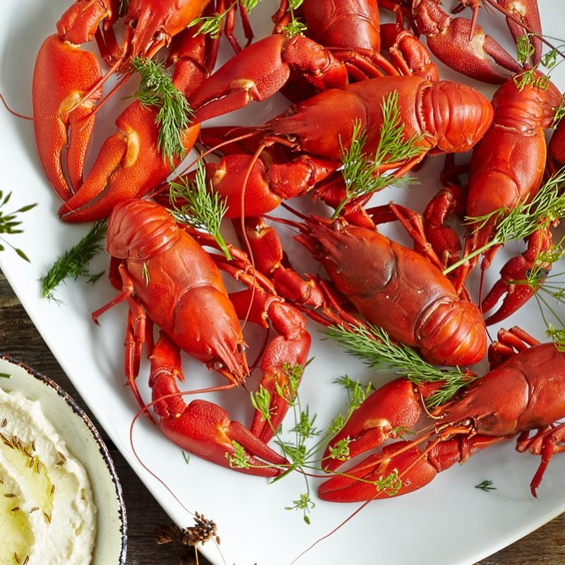 Crayfish_111